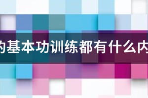 儿童篮球基本功训练内容包括几个方面